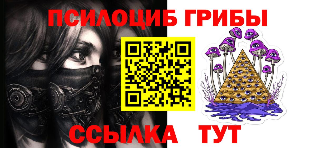 Ульяновск  купить закладку  Вход с VPN  Галлюциногенные грибы мицелий 